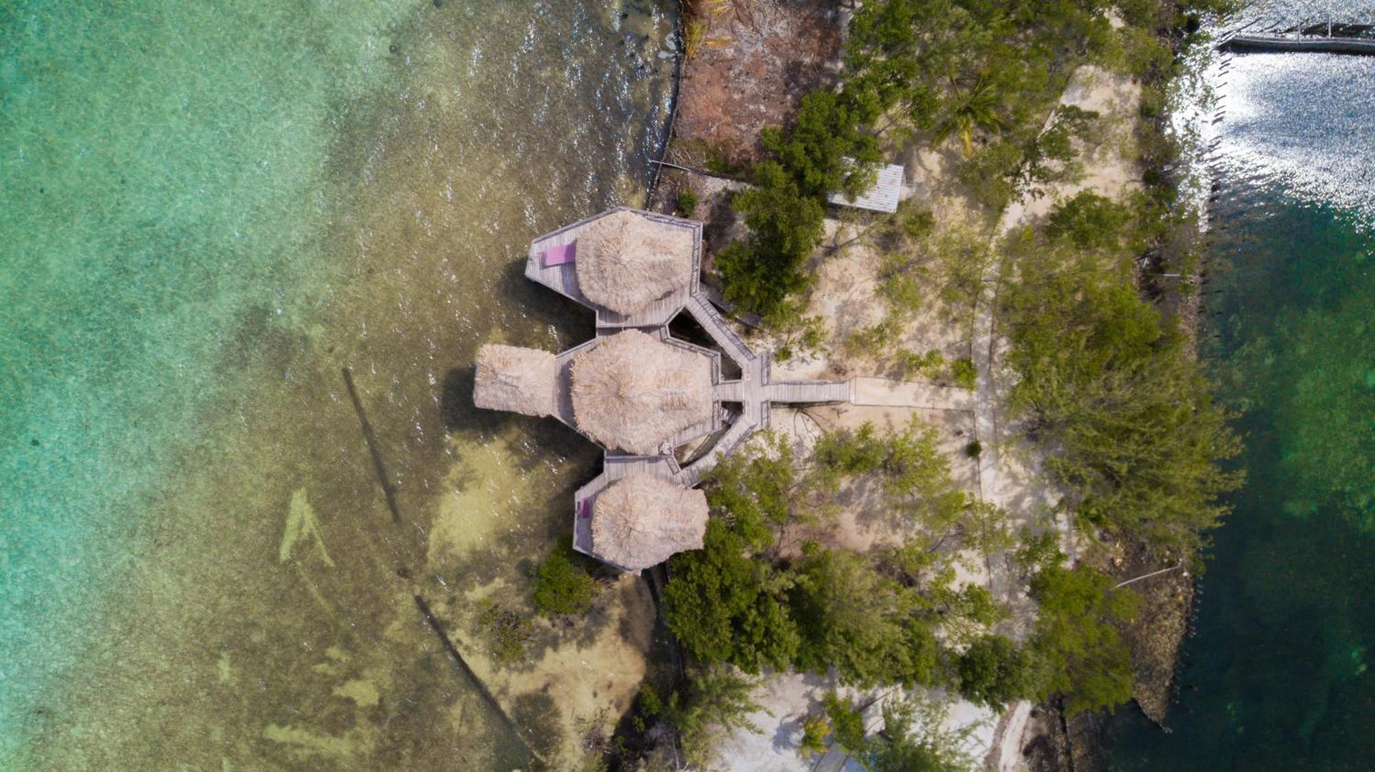 Thatch Caye Resort A Muy'Ono Resort Hopkins Quarto foto