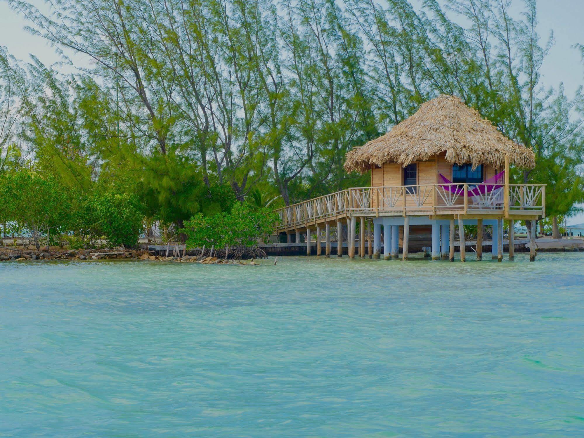 Thatch Caye Resort A Muy'Ono Resort Hopkins Exterior foto